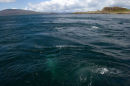 DORUS MOR TIDAL MEET
